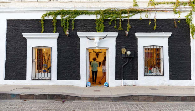 San Jose del Cabo Tour + Beer Tasting - Foto 2