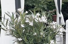 Apartment Ammersbek - Foto 39