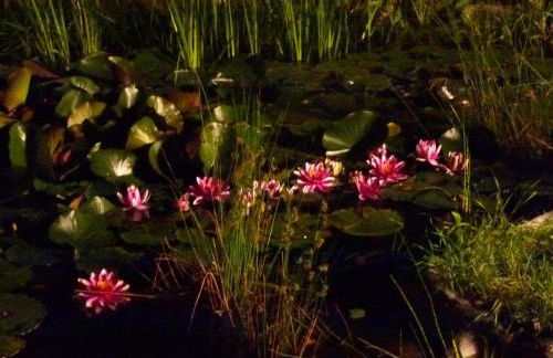 Villa-Hufeland - Foto 126