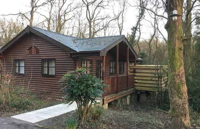 Shrew Lodge Hot Tub - Foto 1