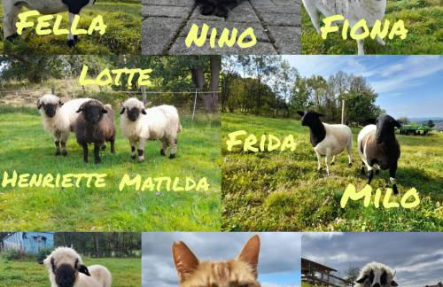 Ferienhof Rüßmann - Foto 37