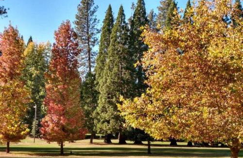 Fairway Apartments Unit 1 - Photo 27