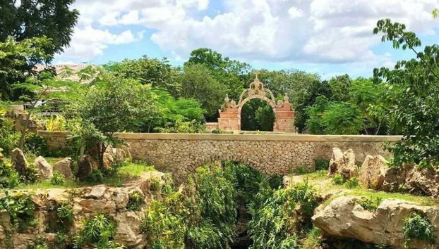 Learn about Yucatán's Henequen industry