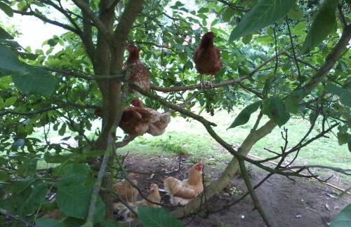 Hopewell self-catering - Foto 58