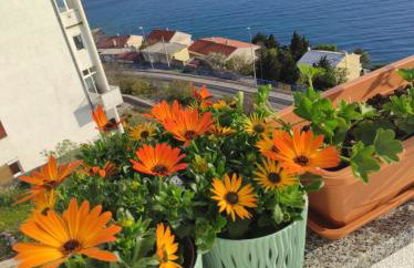 Apartman David - Foto 69