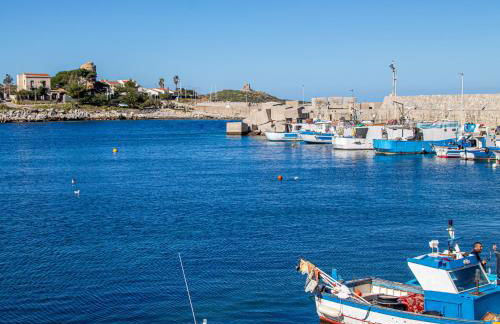 Ciuri Ciuri - Foto 45