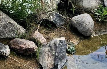 Scheune Zauchwitz - Foto 33