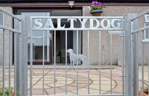 Salty Dog - Foto 21
