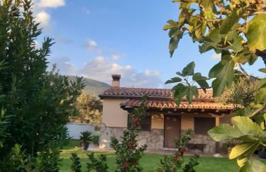 La Celestina - Foto 1