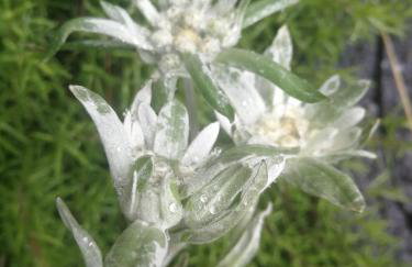 2chałupy - apartamenty w Soli - Foto 66