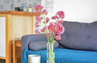 Gîtes le clos du verger - Foto 31