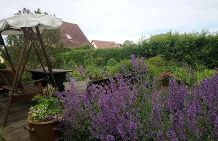 Ferienwohnung Teschow - Foto 17