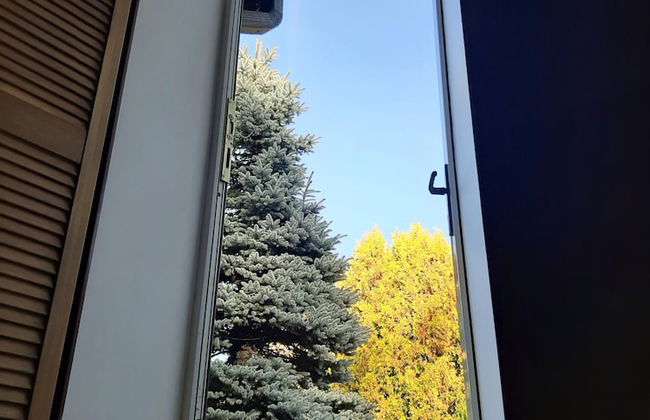 Champêtre Park View Apartments - Foto 31