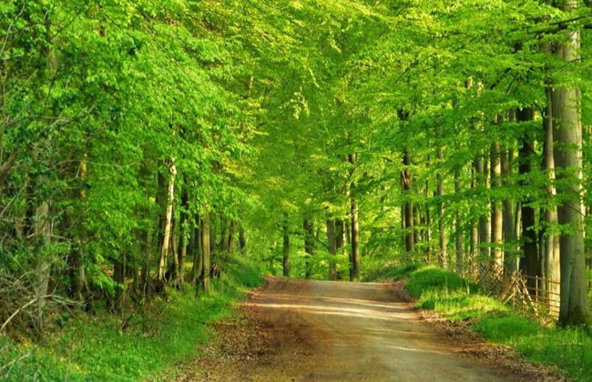 Apartment, Oldenburg in Holstein - Foto 23