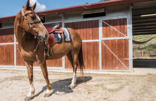 Agriturismo Goccia di Luna - Foto 14