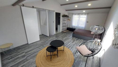 Gîte Ô Pallinois Proche Futuroscope de Poitiers - Foto 4, Game Room