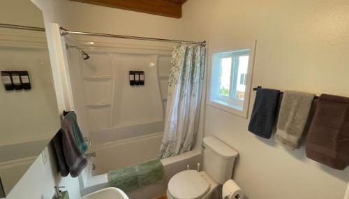 Peaceful Acres Cabin 4 - Get-N-Away - Foto 3, towels, Shower