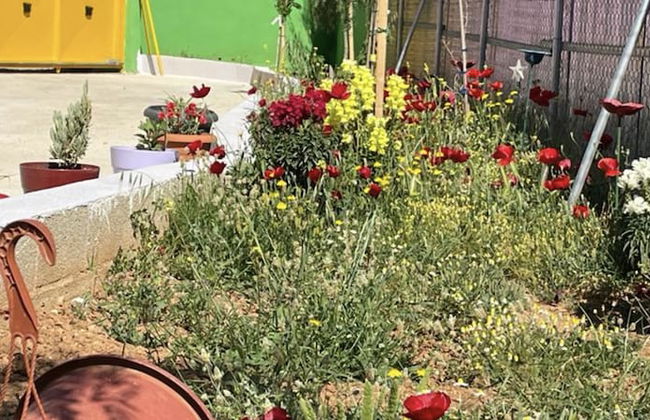 Ecological Studio Flat in Kalyvia Thorikou, Greece - Foto 32