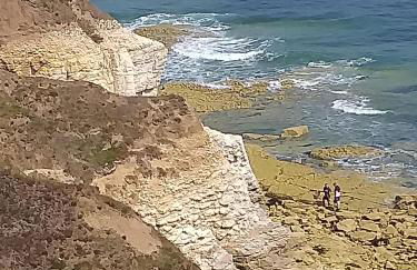 Hartendale - Foto 56