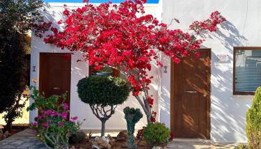 Kali Holiday Apartments - Foto 2