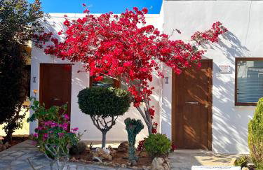 Kali Holiday Apartments - Foto 2