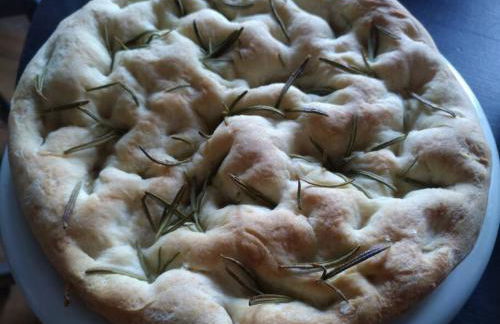 Kleines Häuschen am RheinSteig - Foto 18