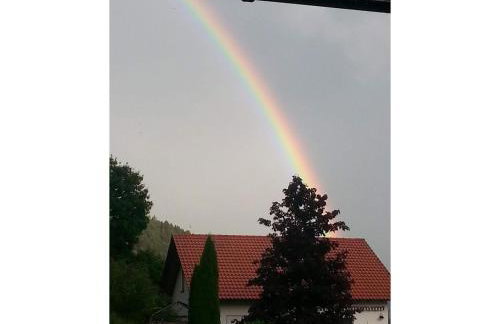 Mayntz' Albjuwel - Foto 5