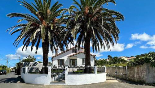 Palm House Azores - Photo 2