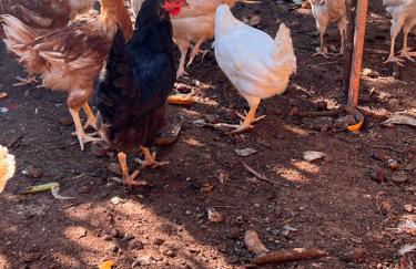 Trullo Antelmi - Foto 43