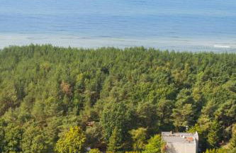 Zacisze Sosnowe - Foto 34