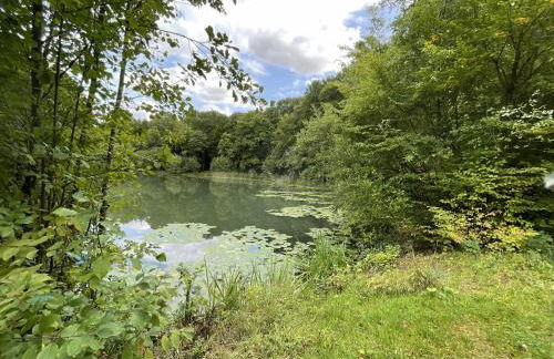 Erlachoase - Photo 45