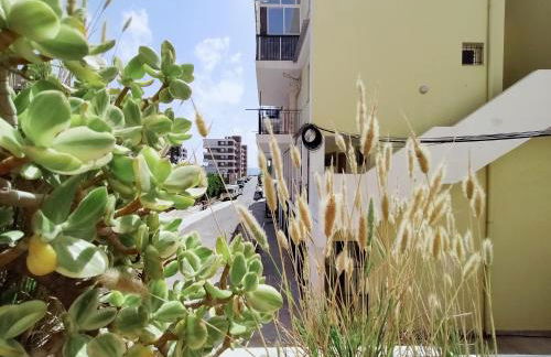 Palm House - Foto 23