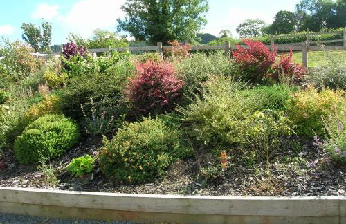 Woodland Lodge Hot Tub Sleeps 6 - Photo 34