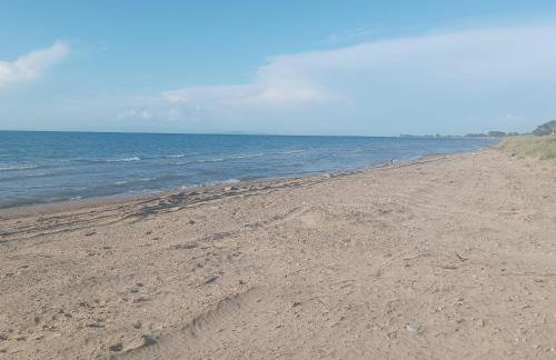 Kyllini am Meer relaxen mit Hund - Foto 23