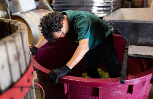 Beautiful Alamedas, un santuario donde el tiempo se detiene - Foto 25