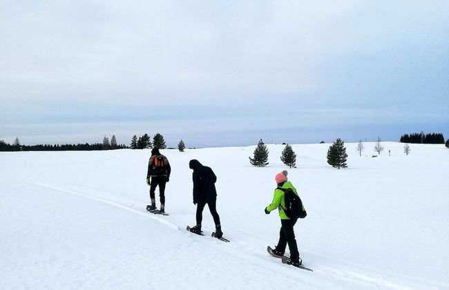 Revontuli Resort Cottages - Foto 57