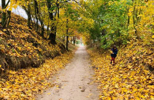 Toskania Kociewska - Photo 27