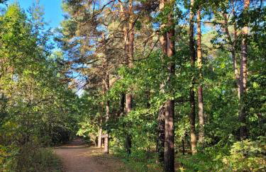 Apartament Walendów Park - Foto 28