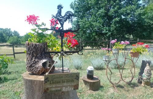 Golden Valley apartment & ranch - Foto 14