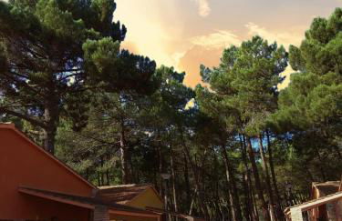 Rural Arco Iris - Foto 1