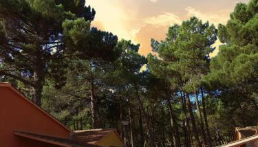 Rural Arco Iris - Foto 1