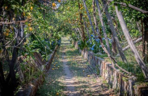 Dimora Filangieri - Photo 16