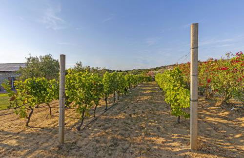 La Littighedda Country Residence - Photo 22