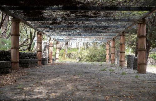 Parco Statella - Foto 54