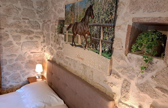 Family Farm Soc. Agricola - Agriturismo - Foto 16