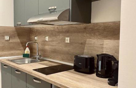 11 Luxury Apartments Metsovo. - Photo 16