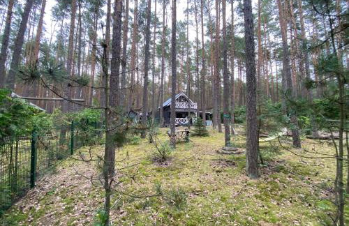 Domek rekreacyjny DORAN - Foto 14