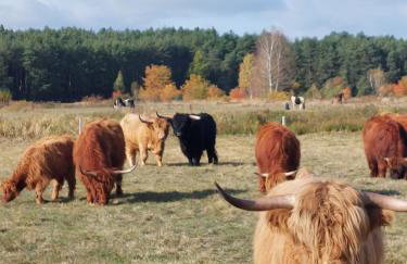 Agroturystyka Leśna Malinka - Foto 19