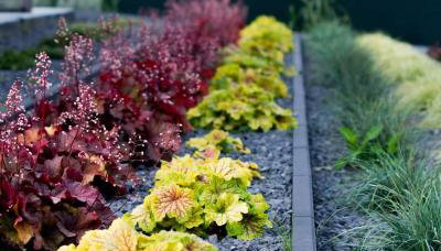 Krzaczasty Zakątek - Foto 5