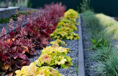 Krzaczasty Zakątek - Foto 5